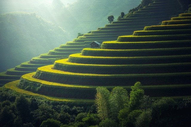 D Floor Landscaping
